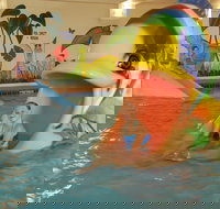 The Plaza Hotel  Suites Winona - Accommodation Indiana