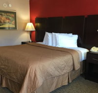 Pine Tree Inn - Accommodation Indiana