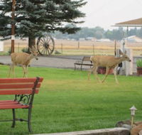 Rim Rock Motel - Accommodation Indiana