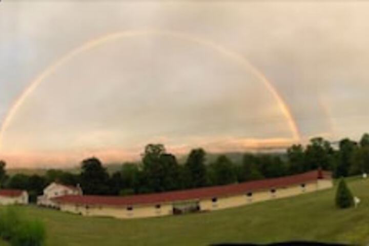 Four Winds Country Motel - thumb 2