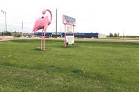 Flamingo Motel Marshalltown