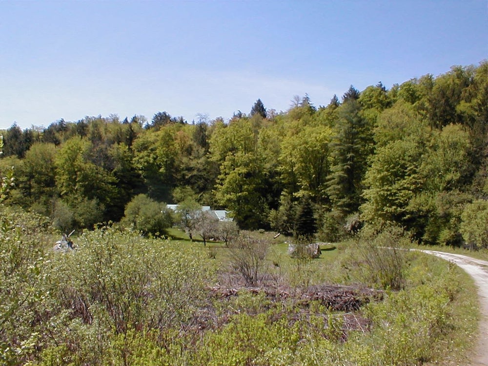 Mountain Valley Retreat - thumb 2