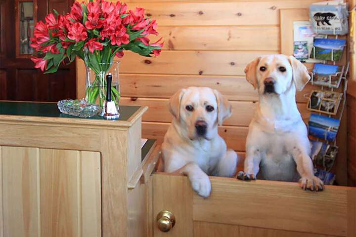 Hillcrest Lodge - thumb 1