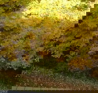 Top of the Hill - Accommodation Indiana