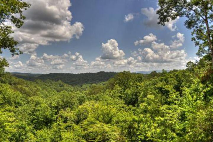 Gileads Balm Cabin - thumb 2