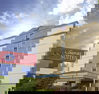 Comfort Suites at Woodbridge - Accommodation Indiana