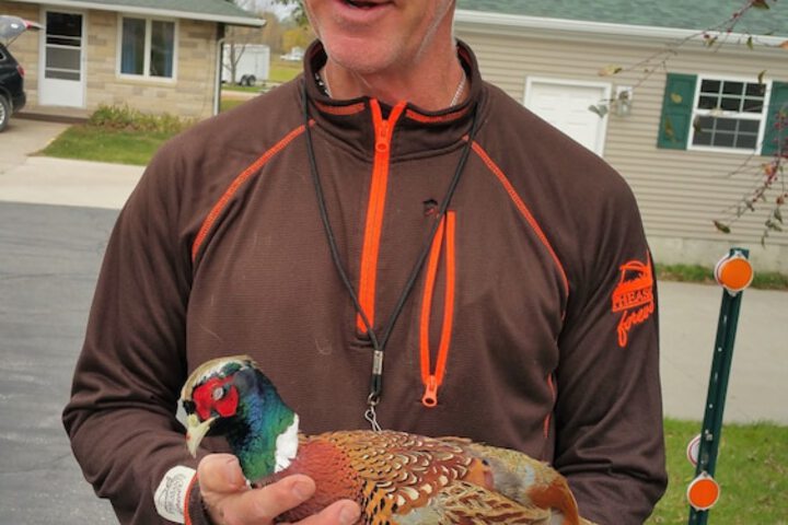 Sudbury Court Motel And RV Park - thumb 7