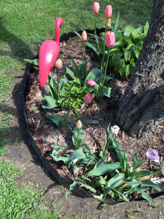 Mayberry Haven - thumb 4