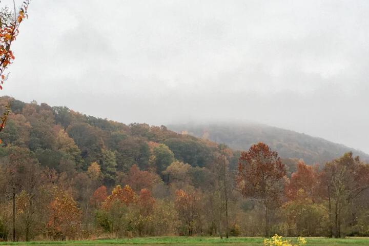 Budget Inn Near WestRock - thumb 6