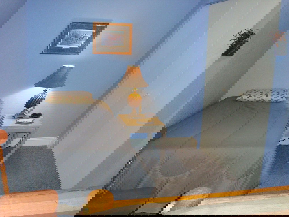 The Blue House - thumb 1