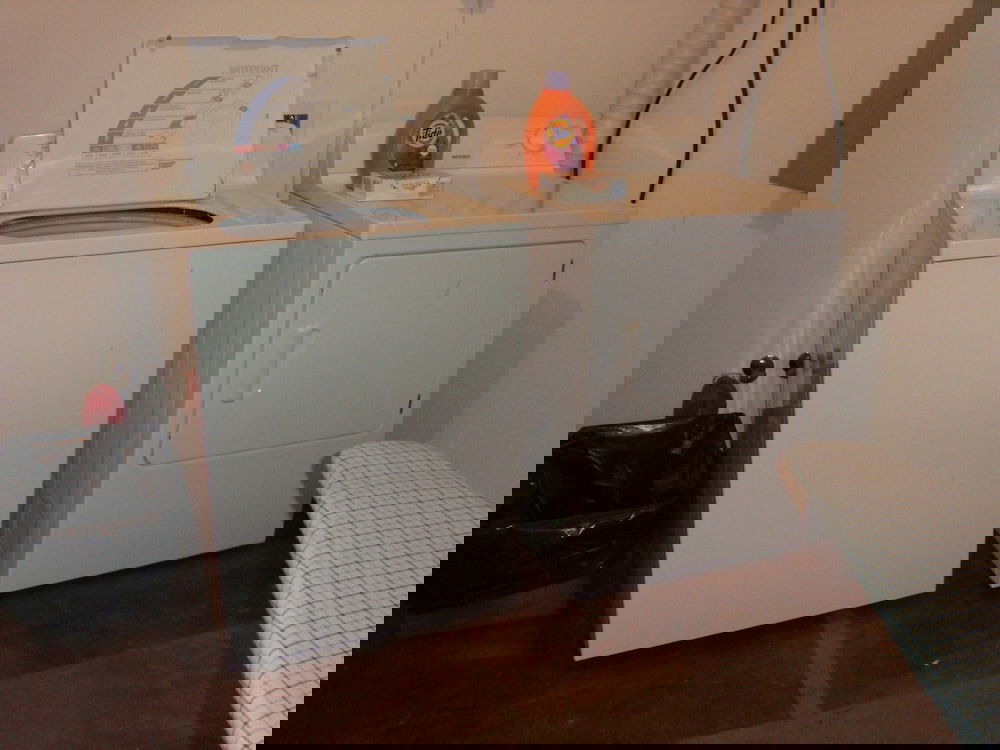 The Bear Cabin - thumb 3