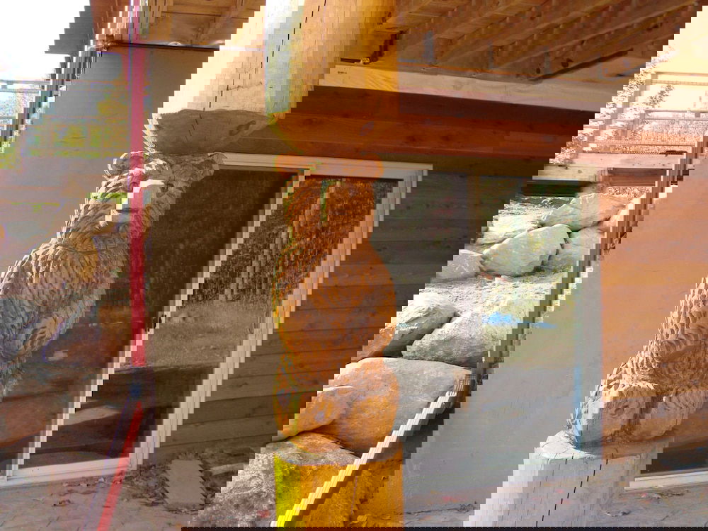 The Bear Cabin - thumb 0