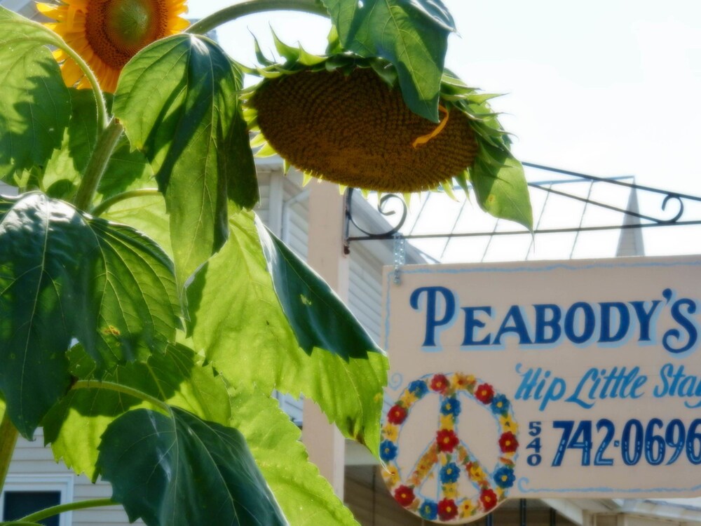 Peabodys Hip Little Stay - thumb 0