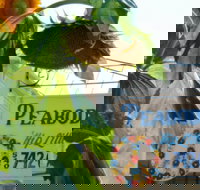 Peabodys Hip Little Stay - Accommodation Indiana