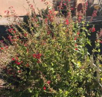 Redhen Rental Near Zion National Park - Accommodation Indiana