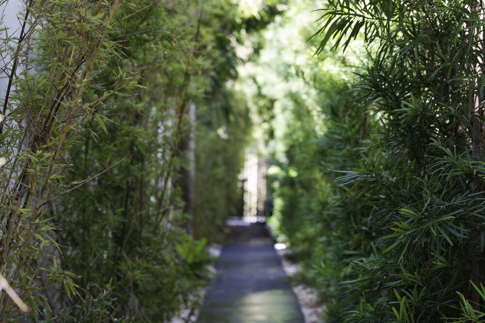 Zen 1BR In SoBe - thumb 5