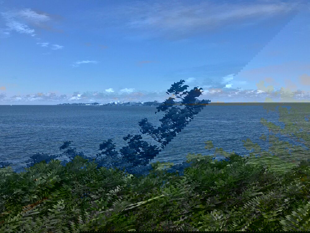 The Bay House Bed & Breakfast - thumb 2