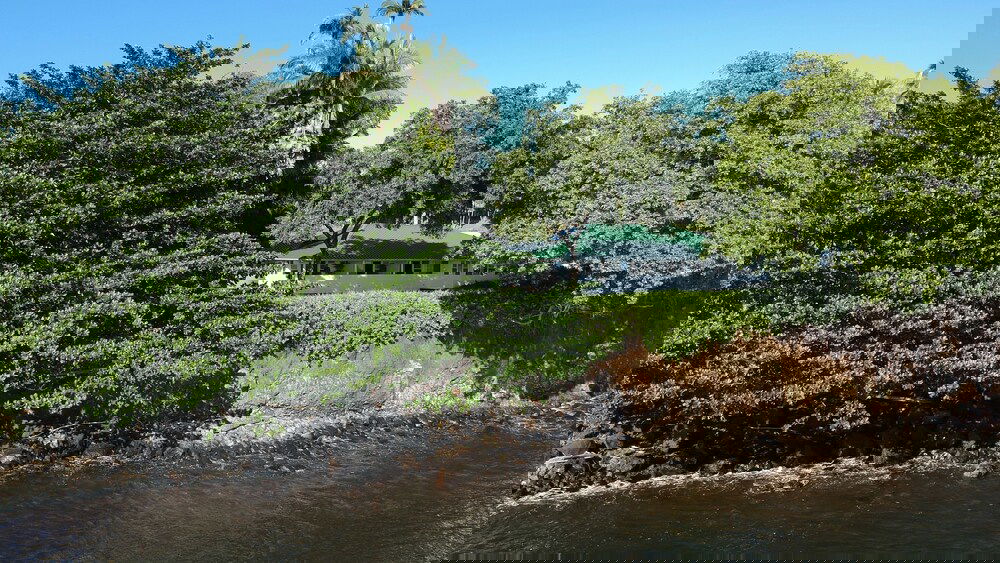 The Bay House Bed & Breakfast - thumb 1