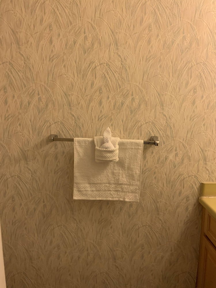 Cozy Stone Mountain Villa - thumb 5