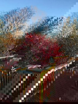 Jonesborough Bed And Breakfast - thumb 5