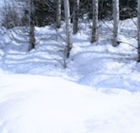 Sun Valley Home - Accommodation Indiana