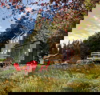 Clydesdale Outpost - Accommodation Indiana