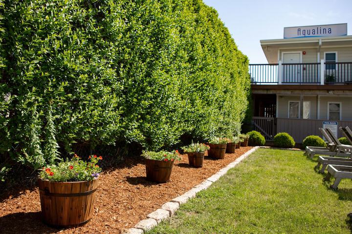 Aqualina Inn Montauk - thumb 3