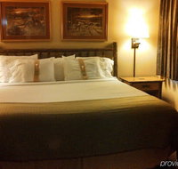 Holiday Inn Hotel Dundee Waterpark - Accommodation Indiana