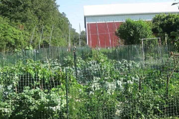 Flint Hill Farm AG - thumb 2