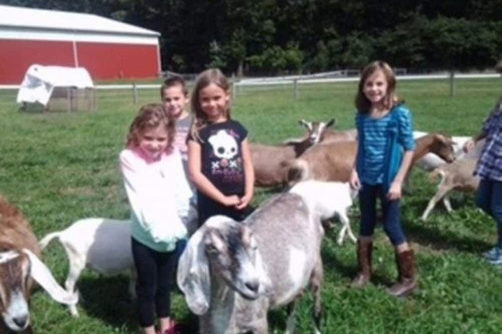 Flint Hill Farm AG - thumb 6