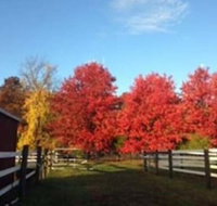 Flint Hill Farm AG - Accommodation Indiana