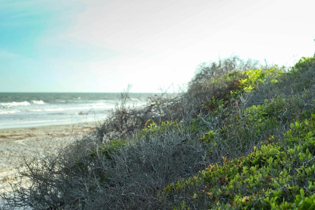 1409 West Beach Villa - thumb 2