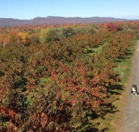 Tentrr Orchard View - Accommodation Indiana