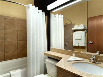 Microtel Inn & Suites - Cartersville - thumb 9