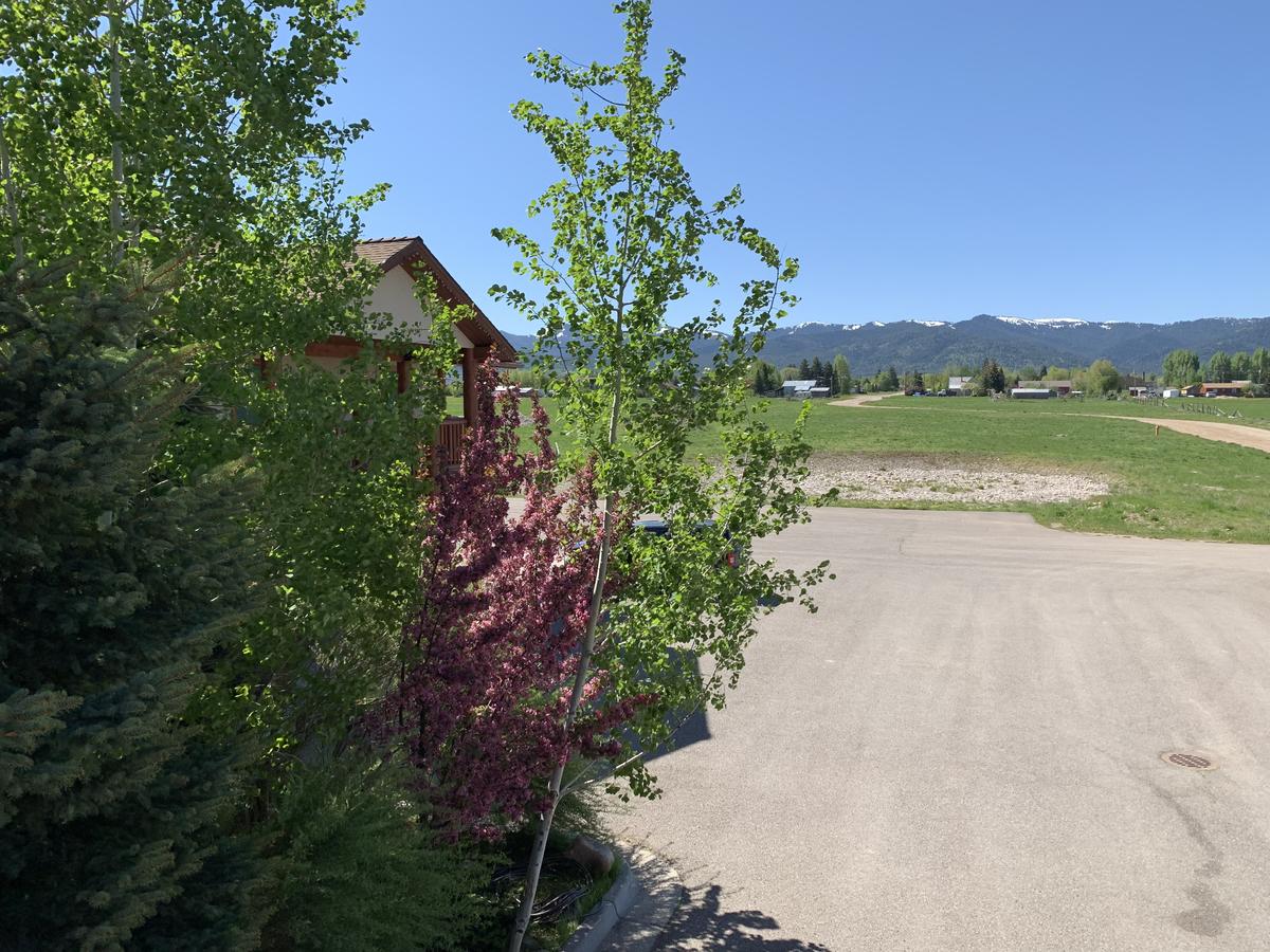 Teton Valley Motel - thumb 6