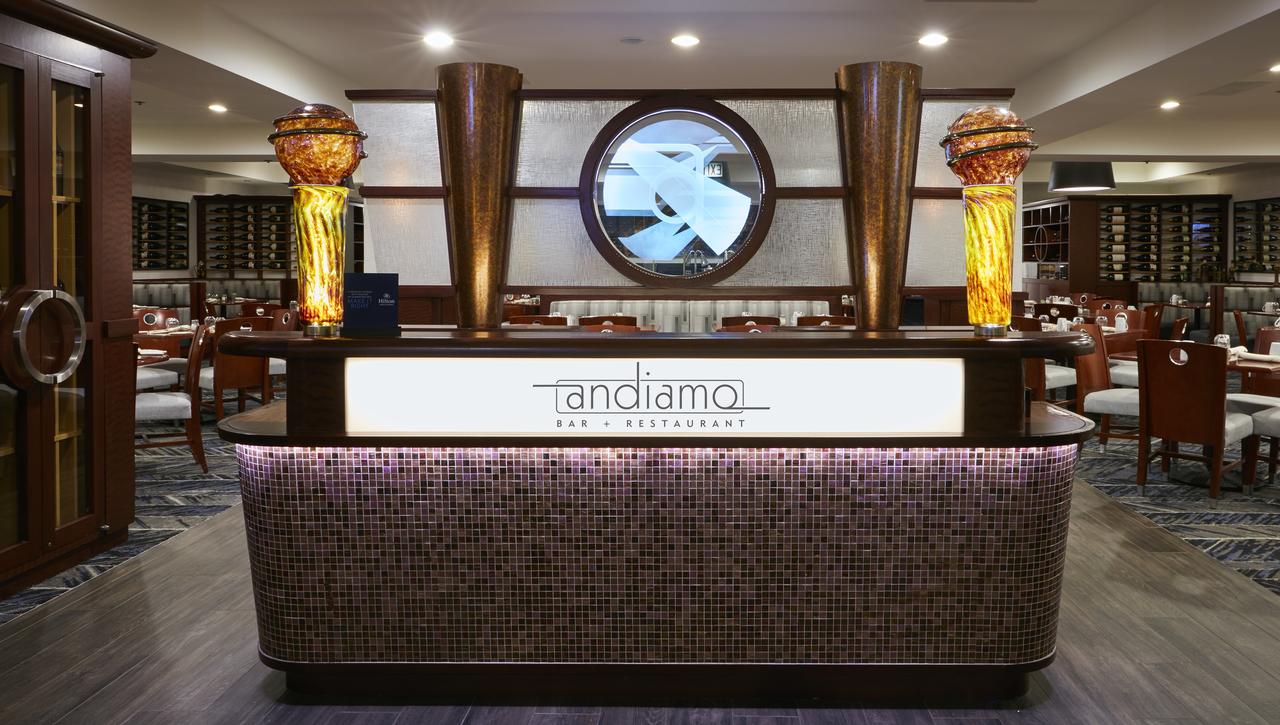 Hilton Chicago O'Hare Airport - thumb 11