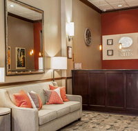 Comfort Suites Michigan Avenue - Accommodation Indiana
