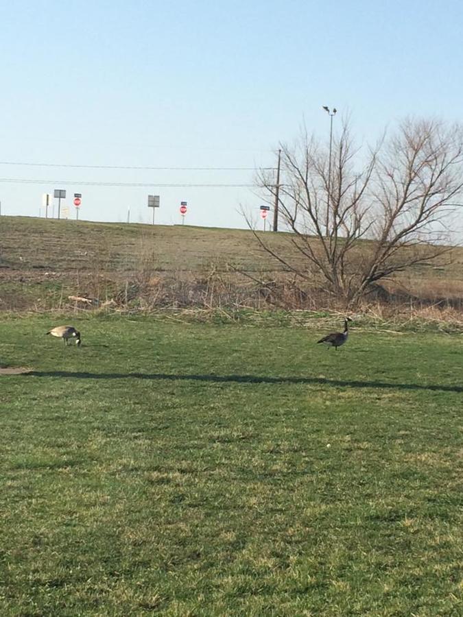 Microtel Inn By Wyndham Champaign - thumb 31