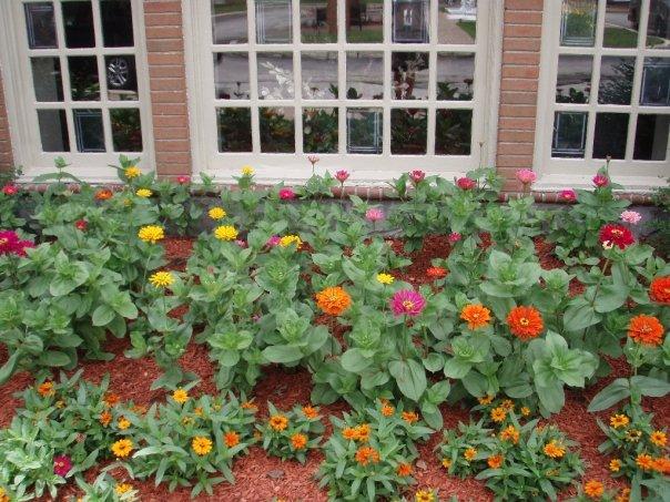 The Chateau Bloomington Hotel And Conference Center - thumb 36