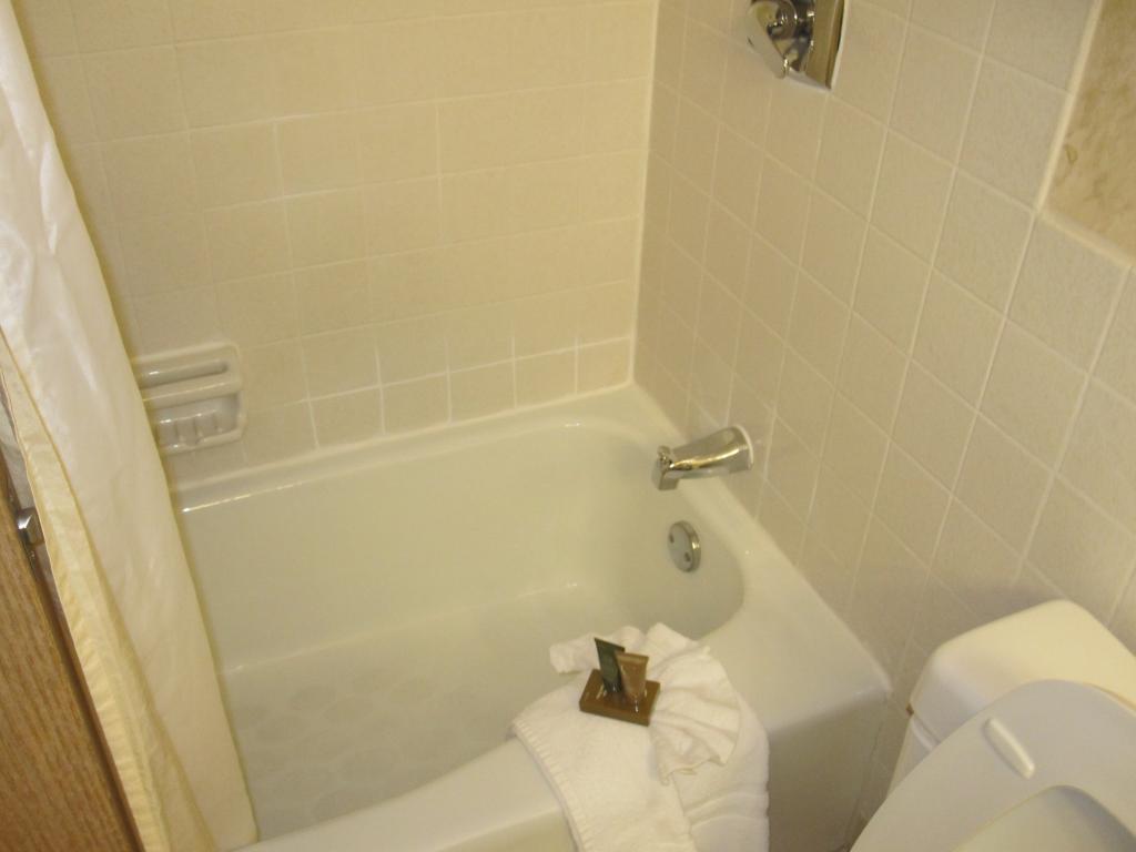 The Chateau Bloomington Hotel And Conference Center - thumb 5