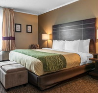 Comfort Inn Fort Wayne - Accommodation Indiana