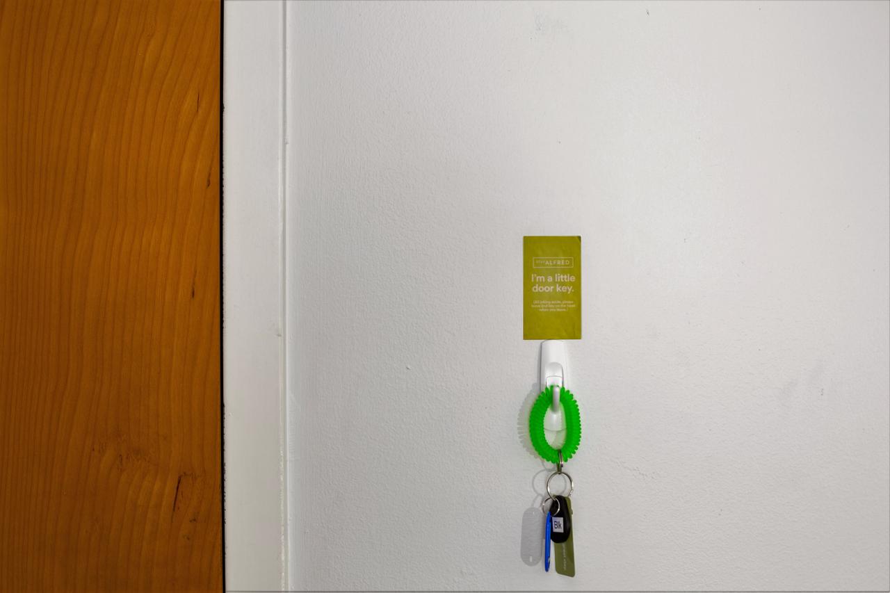 Stay Alfred At The Block - thumb 30