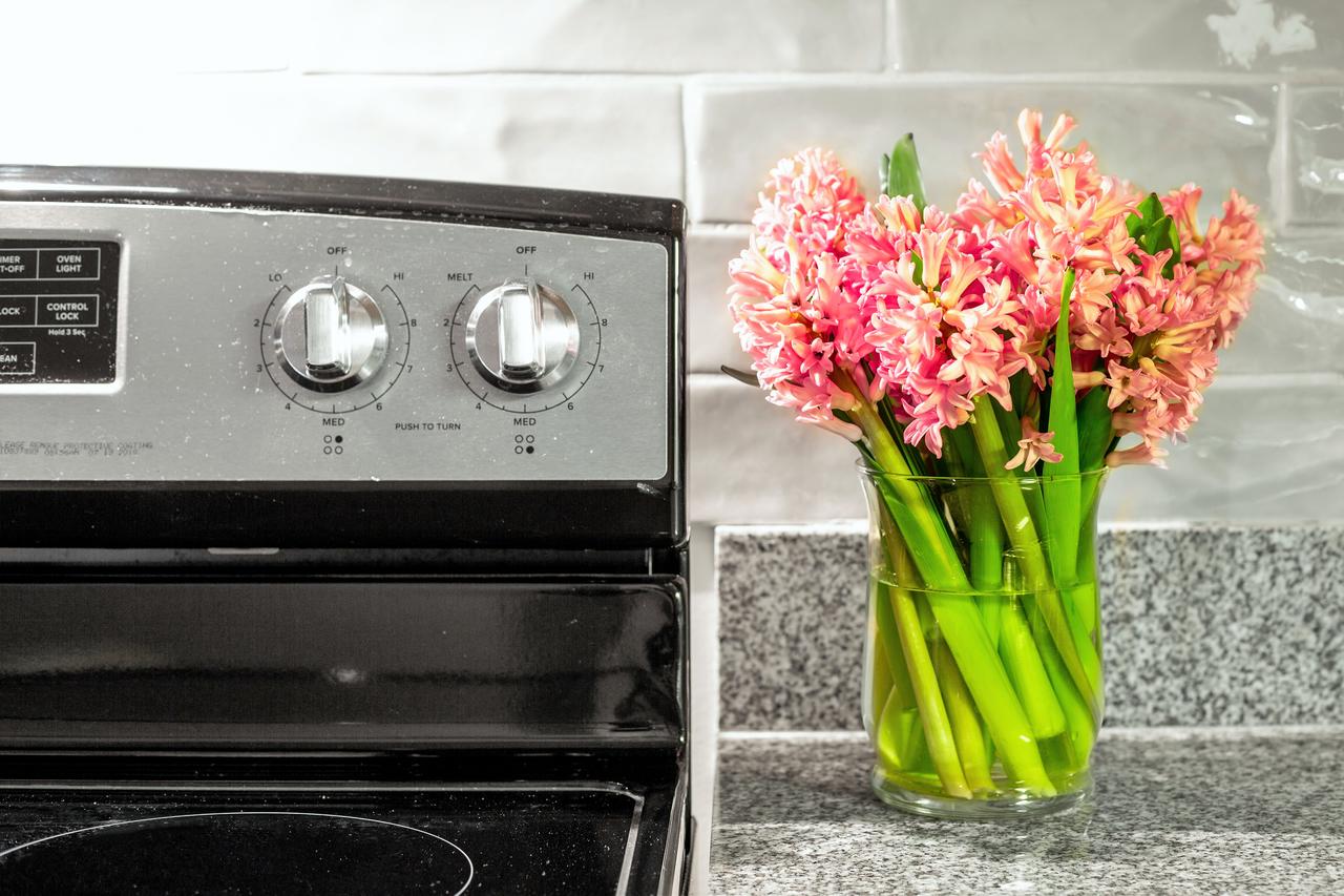 Stay Alfred At The Block - thumb 24