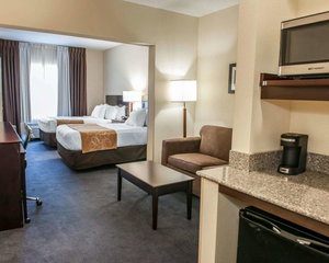 Comfort Suites South