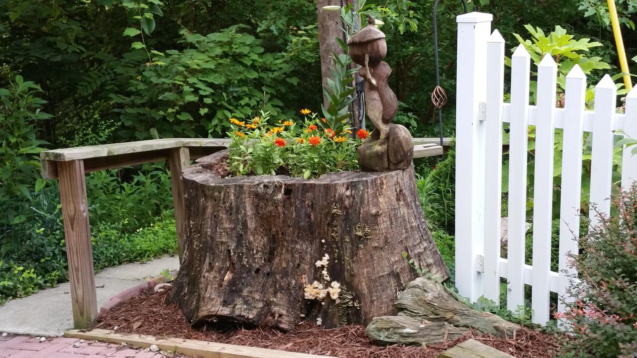Acorn Ridge Bed And Breakfast - thumb 25