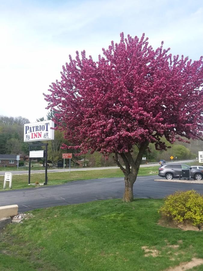 PATRIOT INN - thumb 3