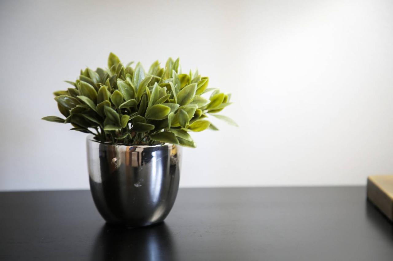 RENOVATED 2BR APT IN HISTORIC DEPARTMENT STORE - thumb 3