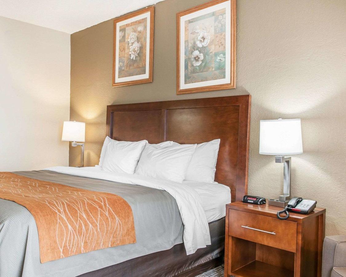 Comfort Inn Madison - thumb 33