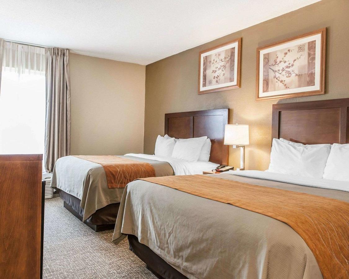 Comfort Inn Madison - thumb 17