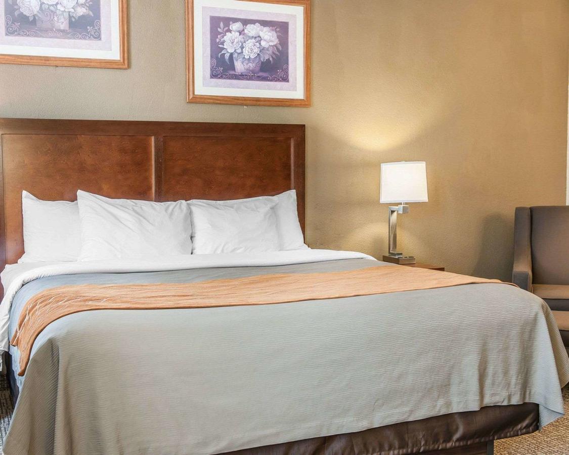 Comfort Inn Madison - thumb 3